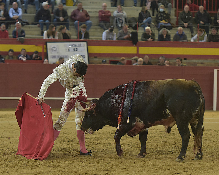 L&rsquo;après-midi à la Puerta Grande de García Pulido à Valdemorillo, en vidéo