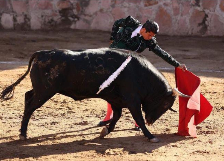 Le tempérament de Calita se démarque à Cañadas de Obregón