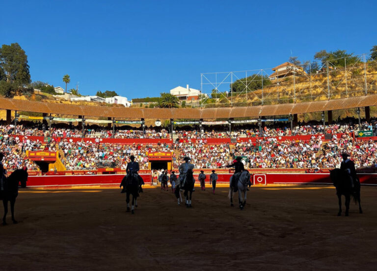 Mise en scène des bouvillons de la grande fête de Huelva
