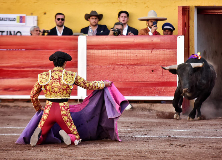 Oreille solitaire de Rafael Soriano à Aguascalientes