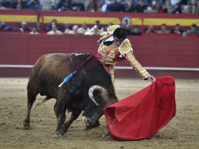 Perera, deux oreilles de taureau de retour de Montalvo (Direct : Valdemorillo)