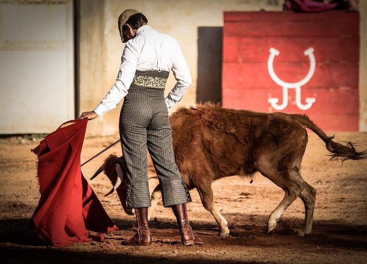 Symphonie taurine à pied de Diego Ventura à El Salitrillo