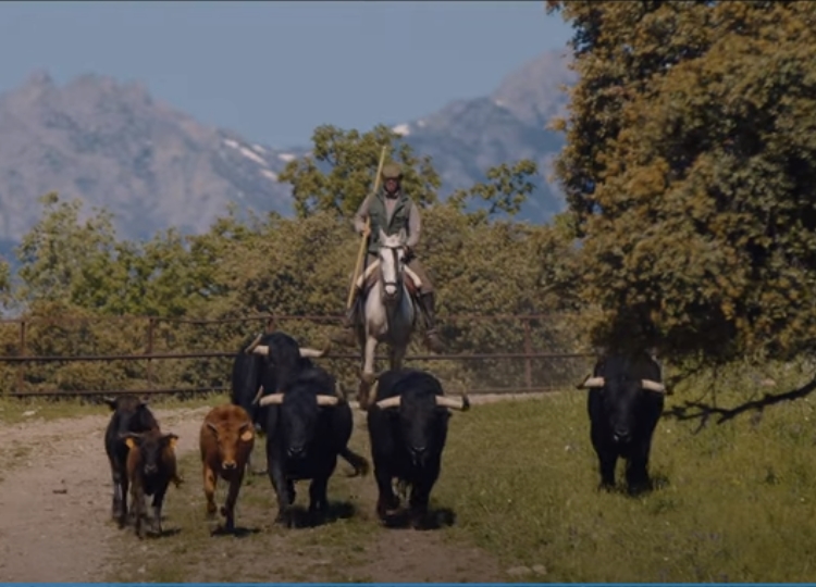 Taurus lance la bande-annonce de son documentaire