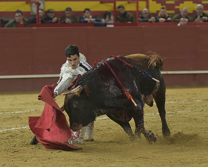 Victoire convaincante pour García Pulido avec une excellente corrida pour Conde de Mayalde