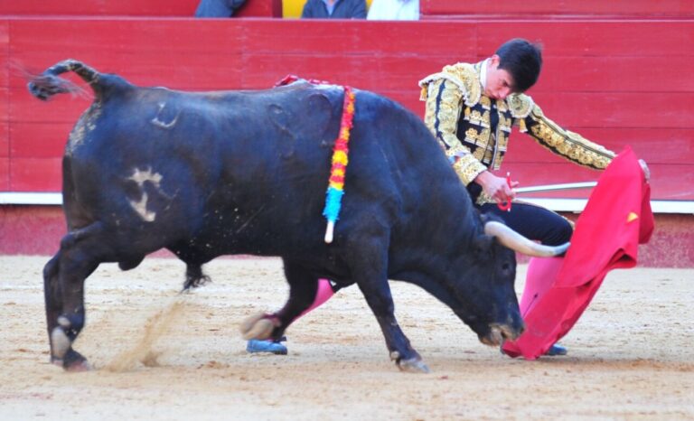 A Valence un torero apparaît