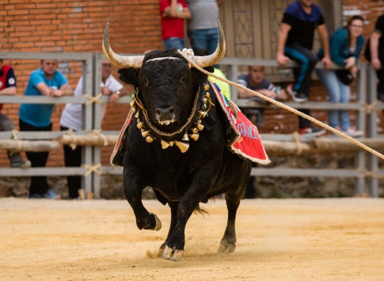 Le deuxième grand écart d'Arroyo del Ojanco, en direct, de Mundotoro