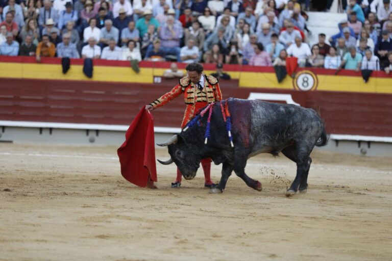 Castellón : Ferrera, la force de l&rsquo;imprévisible