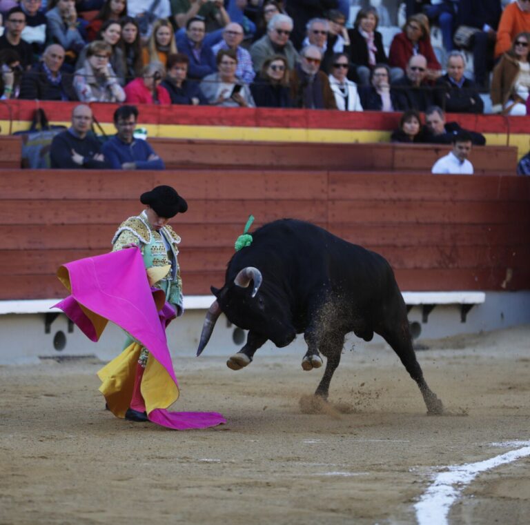 Daniel Medina : « Je veux que les gens gardent mon nom et soient le meilleur torero cette année »