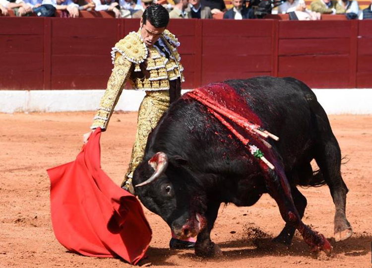 Emilio de Justo, avant sa nomination à Olivenza: « C&rsquo;est une place où tous les toreros rêvent d&rsquo;être »