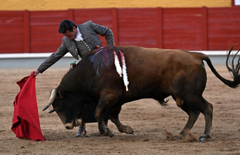 Fête de Diego Urdiales et Paco Ureña au festival de Guadalajara