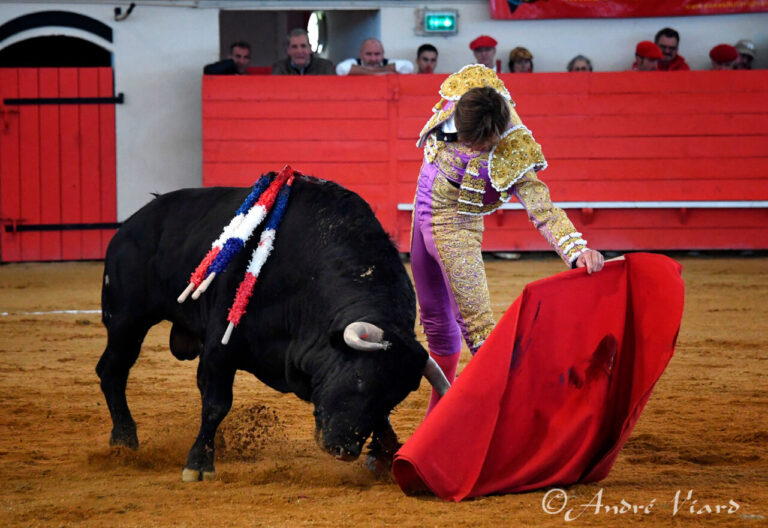 Gamarde : le pied gauche retentissant de Juan Leal et la tauromachie inspirée de Clemente