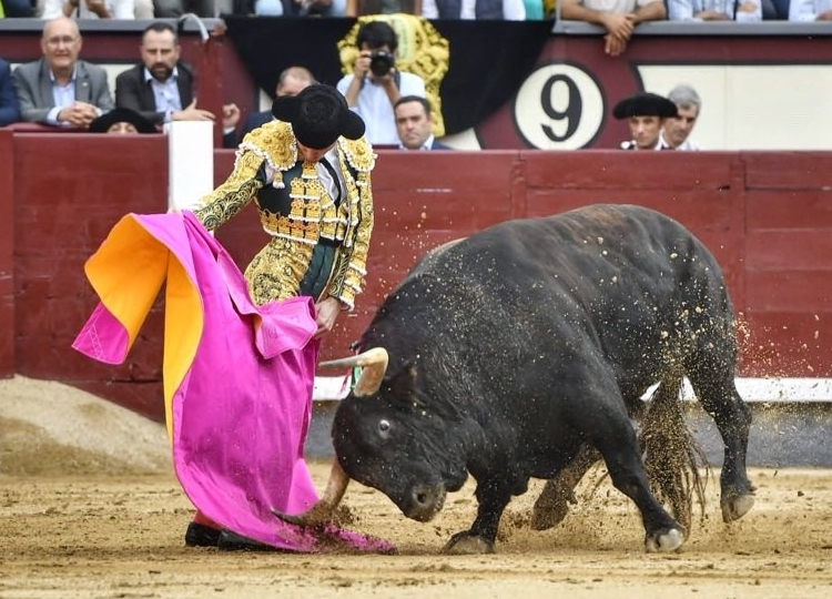 Juan Ortega: « L&rsquo;essence de la tauromachie est contenue dans une véronique »