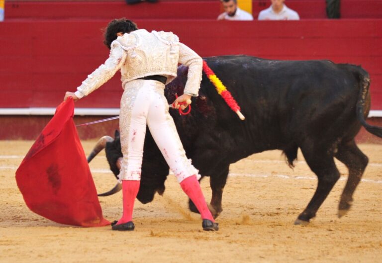 La tauromachie d&rsquo;Álvaro Alarcón prend l&rsquo;après-midi à Valence
