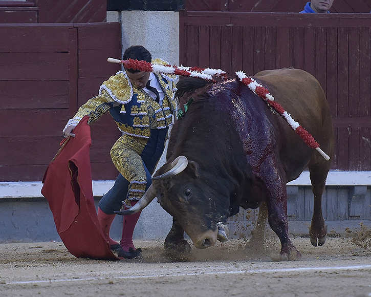 Las Ventas : Mario Navas contre l&rsquo;odyssée du vent