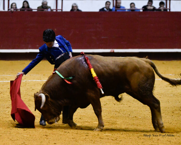 Marco Pérez, invité au campus Dávila Miura