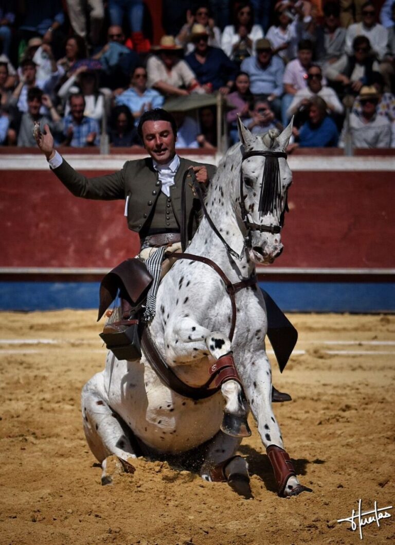Onze oreilles et deux queues au festival Alcalá de los Gazules