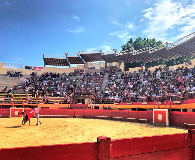 Réouverture des arènes de Mauguio en France après 3 ans sans taureaux