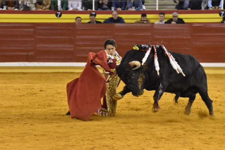 Roca Rey quatre épis, Manzanares deux dans le premier de la Foire du Miracle d&rsquo;Illescas