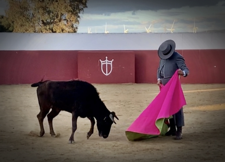 Véronique, selon Morante |  mundotoro.com
