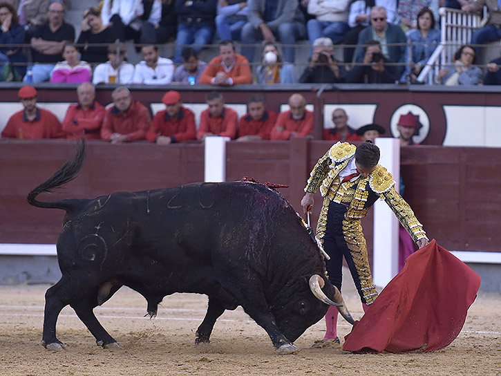 Diego Urdiales : « La tauromachie est un art plein d&rsquo;émotions et c&rsquo;est mon objectif : m&rsquo;exciter pour pouvoir bouger »