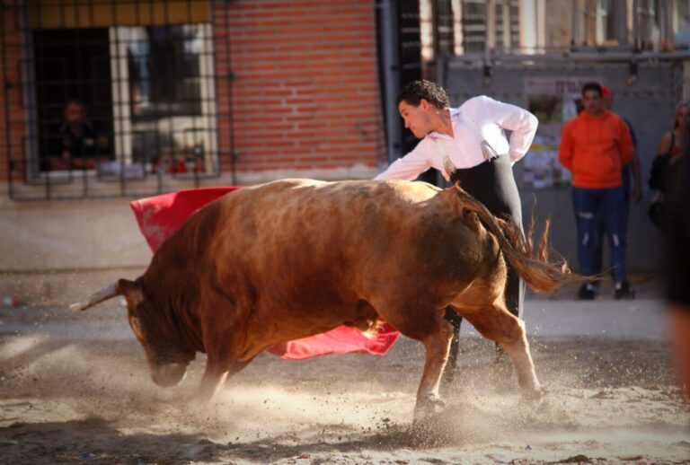 Le désespoir d&rsquo;Ignacio Lozano &lsquo;El Mestanceno&rsquo; pour une opportunité: se battre dans les rues de Castellón a Samuel Flores et un Lagunajanda de 7 ans