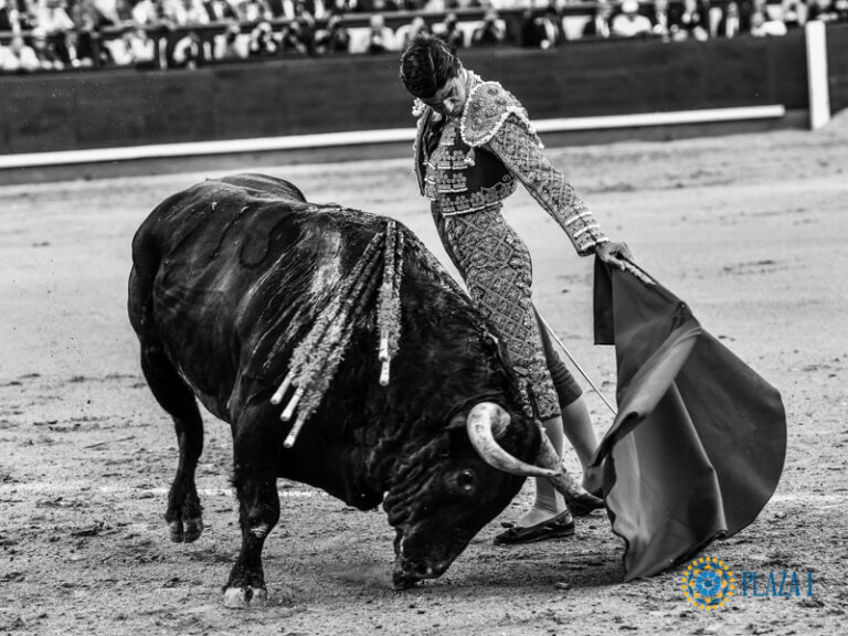 Aguado va comme un gant à La Malagueta