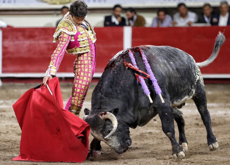 Castella trouve la tauromachie qu&rsquo;il recherche à San Marcos