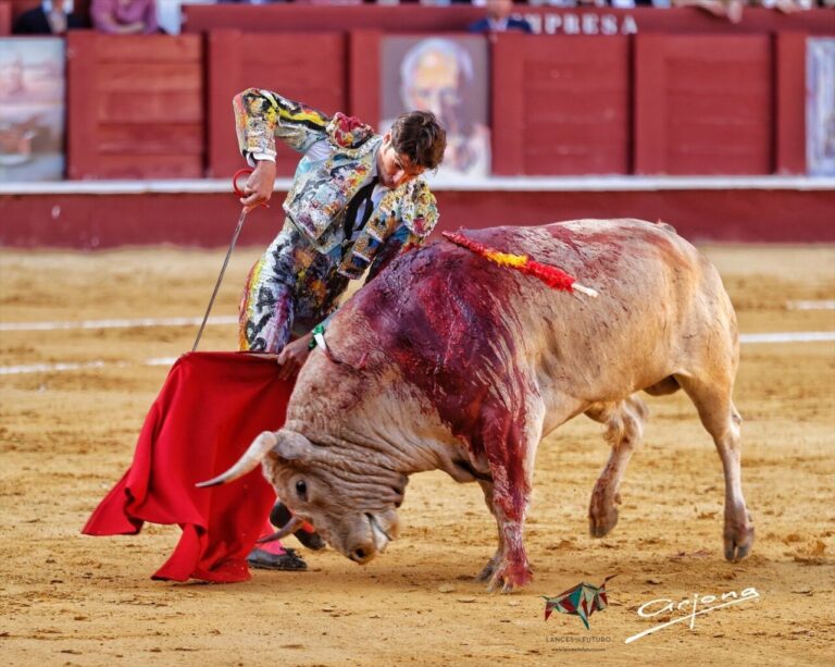 Cayetano, oreille avec forte demande pour le deuxième de la bonne salle (Directo Málaga)