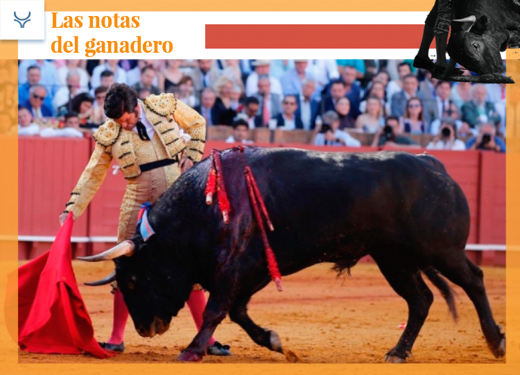 Cela a été la corrida d&rsquo;El Torero à Séville