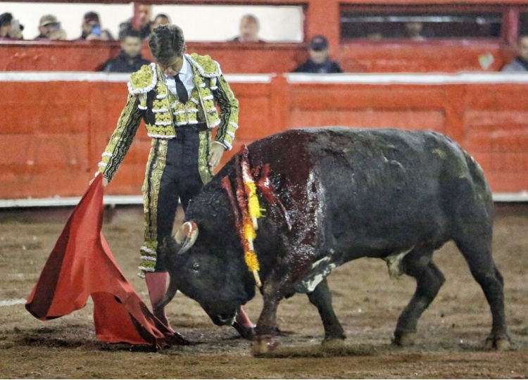 Empreinte d&rsquo;El Juli à San Luis Potosí.  Oreille pour Silveti