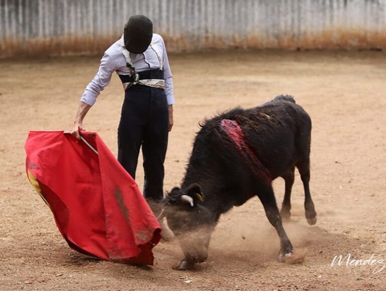 Fernando Robleño regarde Aguascalientes et Las Ventas