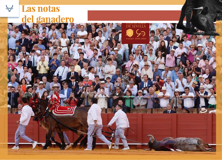 Importante corrida de Victorino Martín à Séville, avec un taureau de vaches
