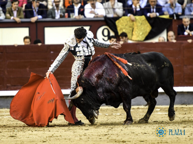 Juan Ortega : la tauromachie comme revendication
