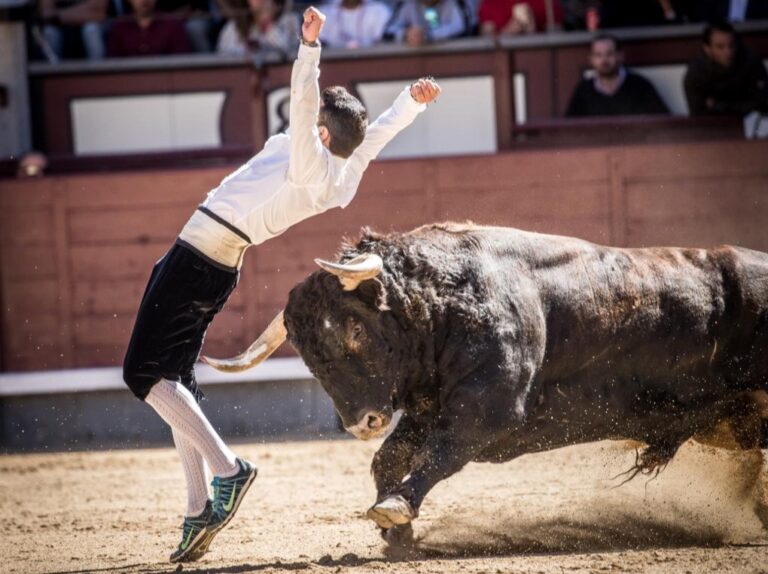 Las Ventas organise une fête pour les tailleurs le samedi 29 avril dans le cadre de la foire communautaire
