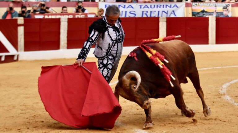 Le maestro Luis Reina sera honoré ce samedi sur la Plaza de Toros de Mérida