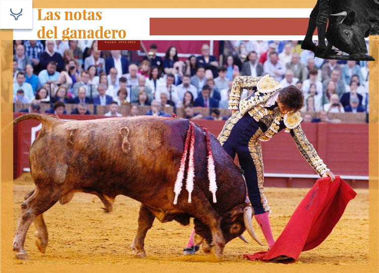 Núñez del Cuvillo : un taureau sauve une monnaie