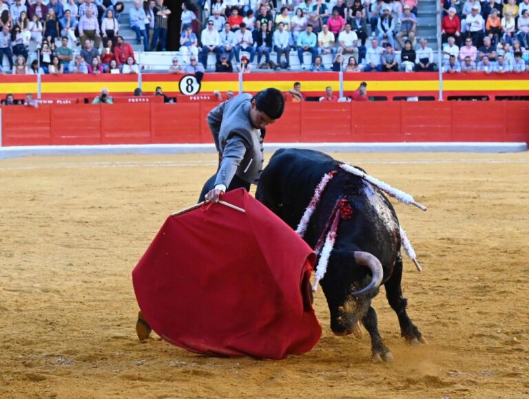Pablo Aguado, Manuel Román et Marco Pérez, chère tauromachie à Grenade