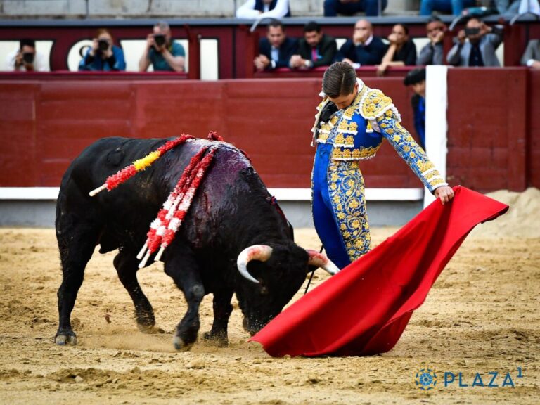 Retour sur le ring pour les détails et la personnalité d&rsquo;Alejandro Mora dans Las Ventas