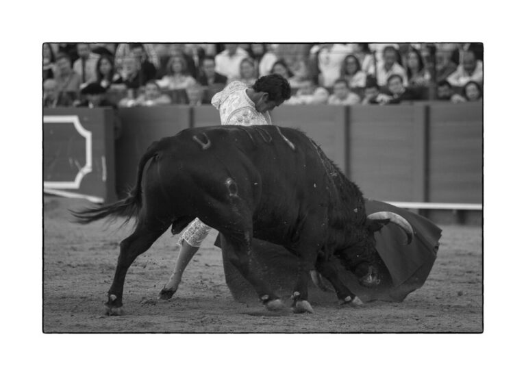 Ruiz Muñoz : « Je suis encore très jeune, mais Séville a su me voir comme un torero »
