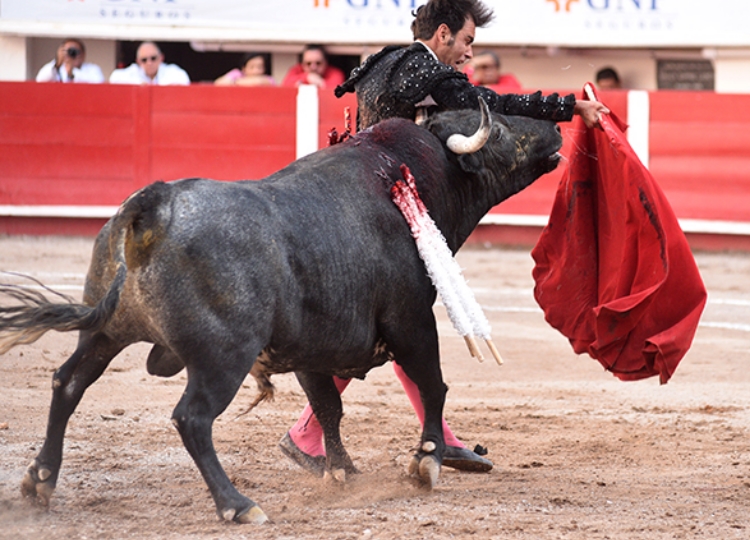 Séquence photographique de la baise sérieuse d&rsquo;Arturo Macías à Aguascalientes