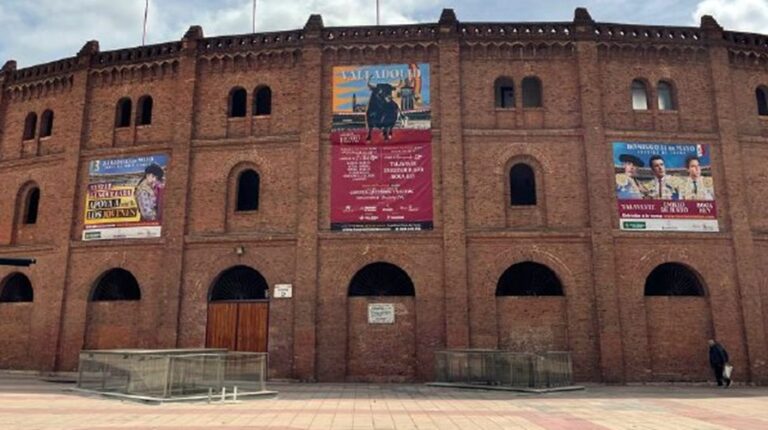 Tauroemoción augmente la capacité du pack jeunesse pour la foire San Pedro Regalado 2023