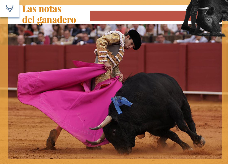 Une bonne corrida sévillane de Jandilla