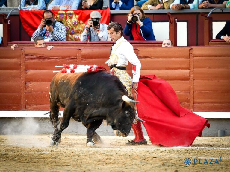 Vive Rojo et Mario Alcalde à Las Ventas