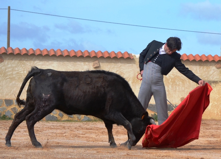 Juan del Álamo : « Je n&rsquo;ai pas perdu mon essence.  Là-dessus, j&rsquo;ai grandi et j&rsquo;interprète la tauromachie mieux que jamais&rsquo;