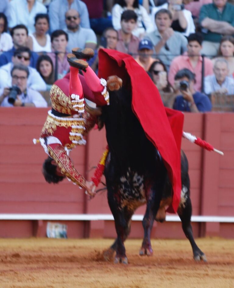 Déclarations d&rsquo;Alberto Aguilar après le goring de Marcos Linares