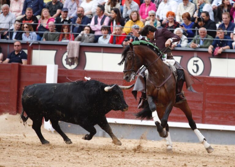 Ventura, sur divers aspects de la tauromachie: « Celui qui tue un veau dans une ville ne peut pas compter comme une fête comme celui qui tue deux taureaux à Madrid »