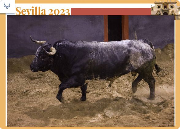 De &lsquo;Triguero&rsquo; à &lsquo;Amargoso&rsquo;, pour le tête-à-tête avec Miuras entre Ferrera et Escribano (Sevilla Draw)