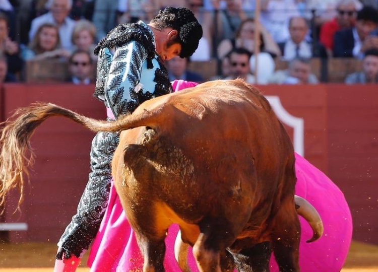 Deux gagnants de Séville à Campo Pequeno