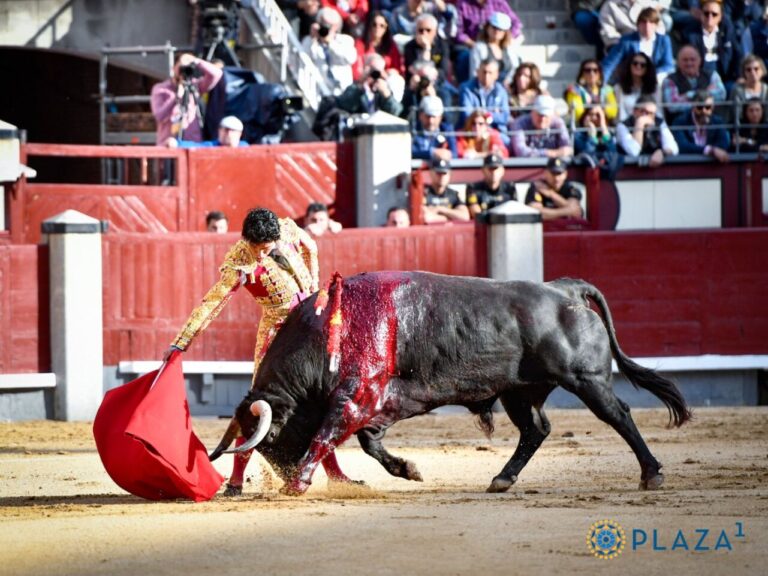 Fermeté de Perera, qui laisse les meilleurs moments au naturel avec un taureau qui est très bien venu (Direct : Las Ventas)
