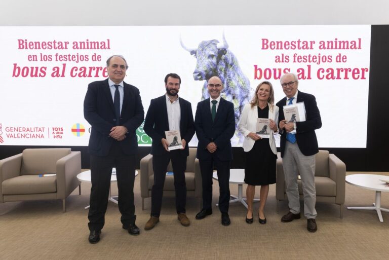 Ils créent un guide de bonnes pratiques pour garantir le bien-être animal dans les festivités Bous al carrer
